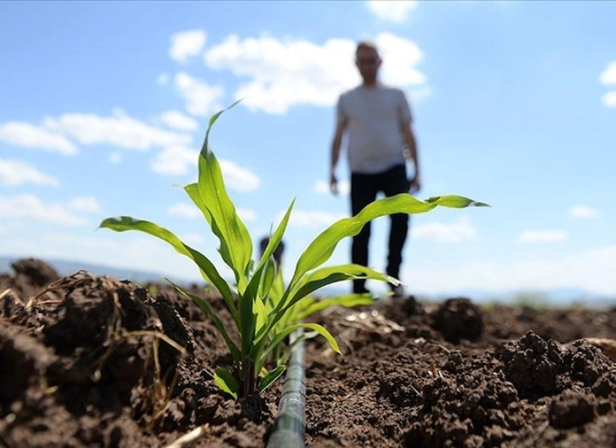 Gübre Fabrikaları T.A.Ş (GUBRF) İran İştiraki Razi Petrochemical Hakkında Açıklama Yaptı
