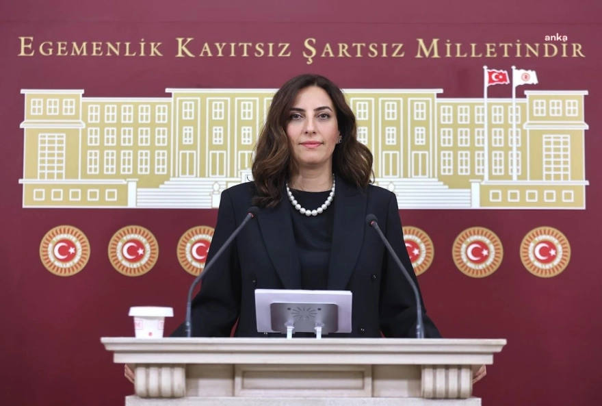 Zeytinlikleri madenciliğe açacak yasa teklifi komisyonda: Evrim Rızvanoğlu'na göre bu, Türkiye'yi parça parça ruhsatlandırma teklifi