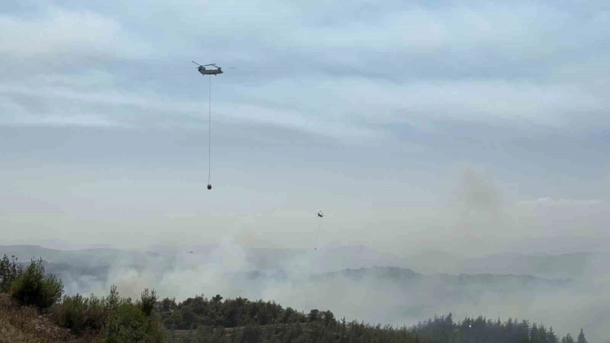 Adana'da çıkan orman yangını kontrol altına alındı, 6 kişi gözaltına alındı