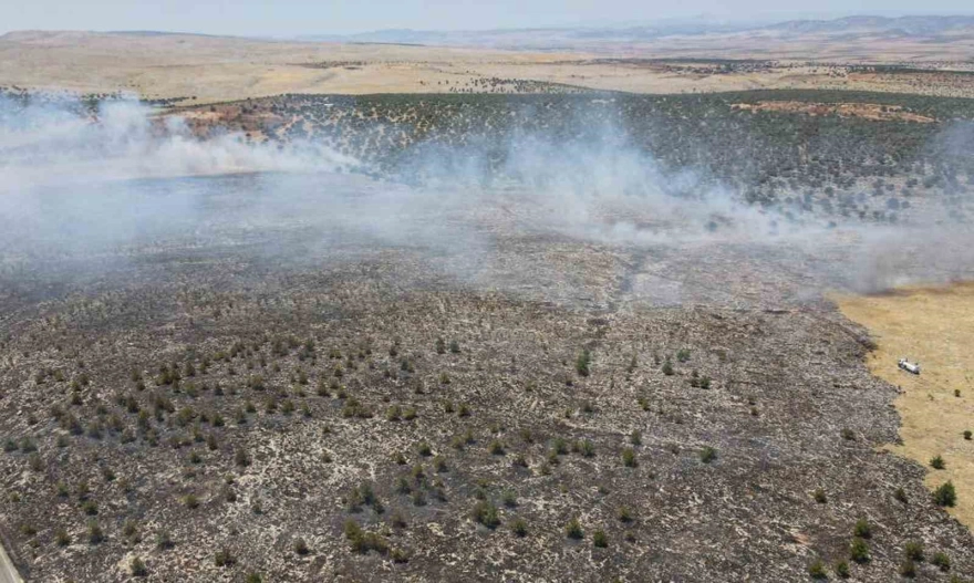 Araban'da çıkan örtü yangını kontrol altına alındı