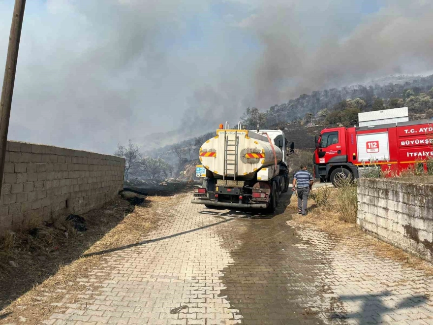 Aydın Efeler'de Tarım Arazisinde Yangın: Bazı Evler Zarar Gördü