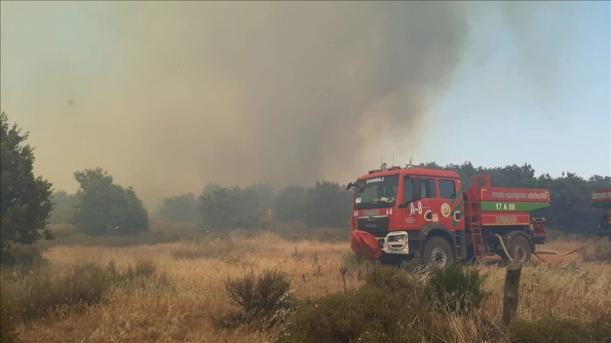 Çanakkale'de tarım arazisinde başlayan orman yangını kontrol altına alındı