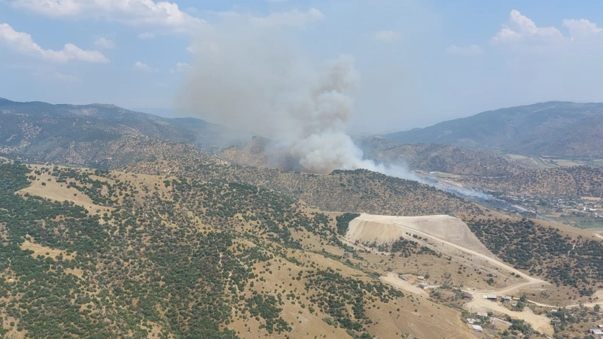 Aydın'da zirai alanda çıkan yangın genişliyor