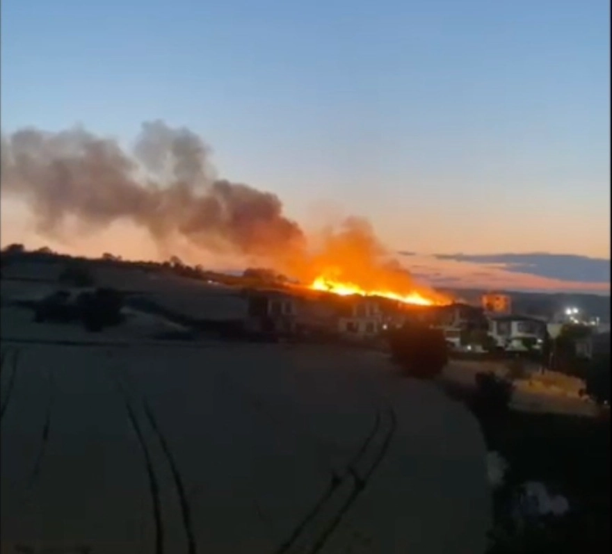 Düğün Kutlamasında Atılan Havai Fişek Buğday Tarlasını Yaktı