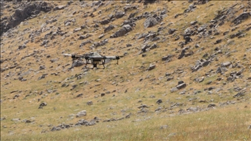 Siirt'in Pervari ilçesinde çekirgelerle mücadele için dronla ilaçlama çalışmaları yürütülüyor