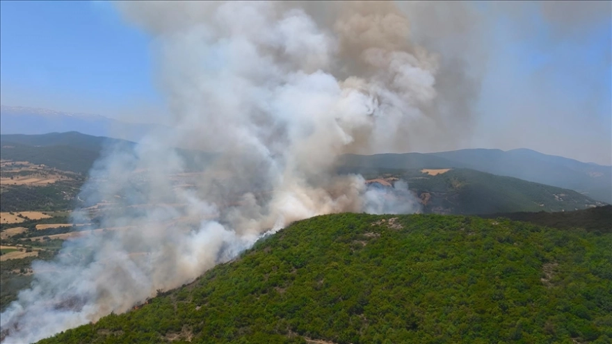 Bursa'da orman yangınına müdahale ediliyor