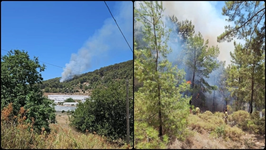 Antalya'daki orman yangınına müdahale ediliyor