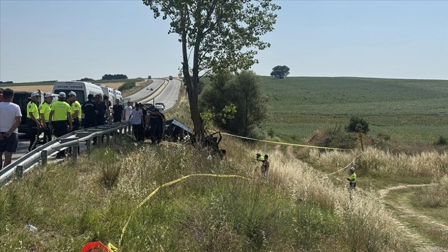Edirne'de ağaca çarpan araçta 5 kişi yaşamını yitirdi, 1 kişi yaralandı
