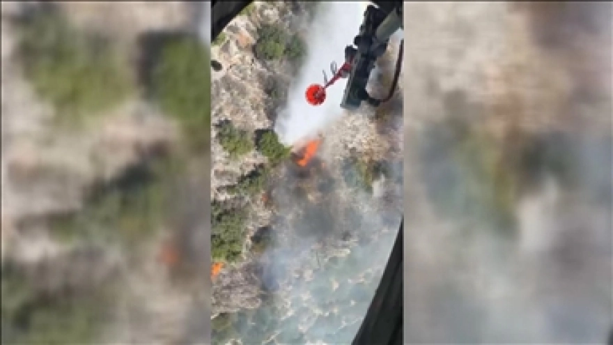 Antalya'da Orman Yangınına Müdahale Ediliyor