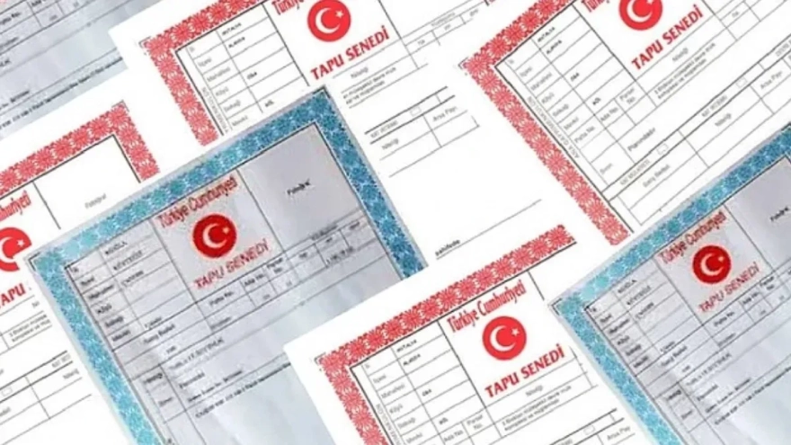 Gayrimenkul alıcıları dikkat: Tapu rengi yatırımınızı doğrudan etkiliyor!