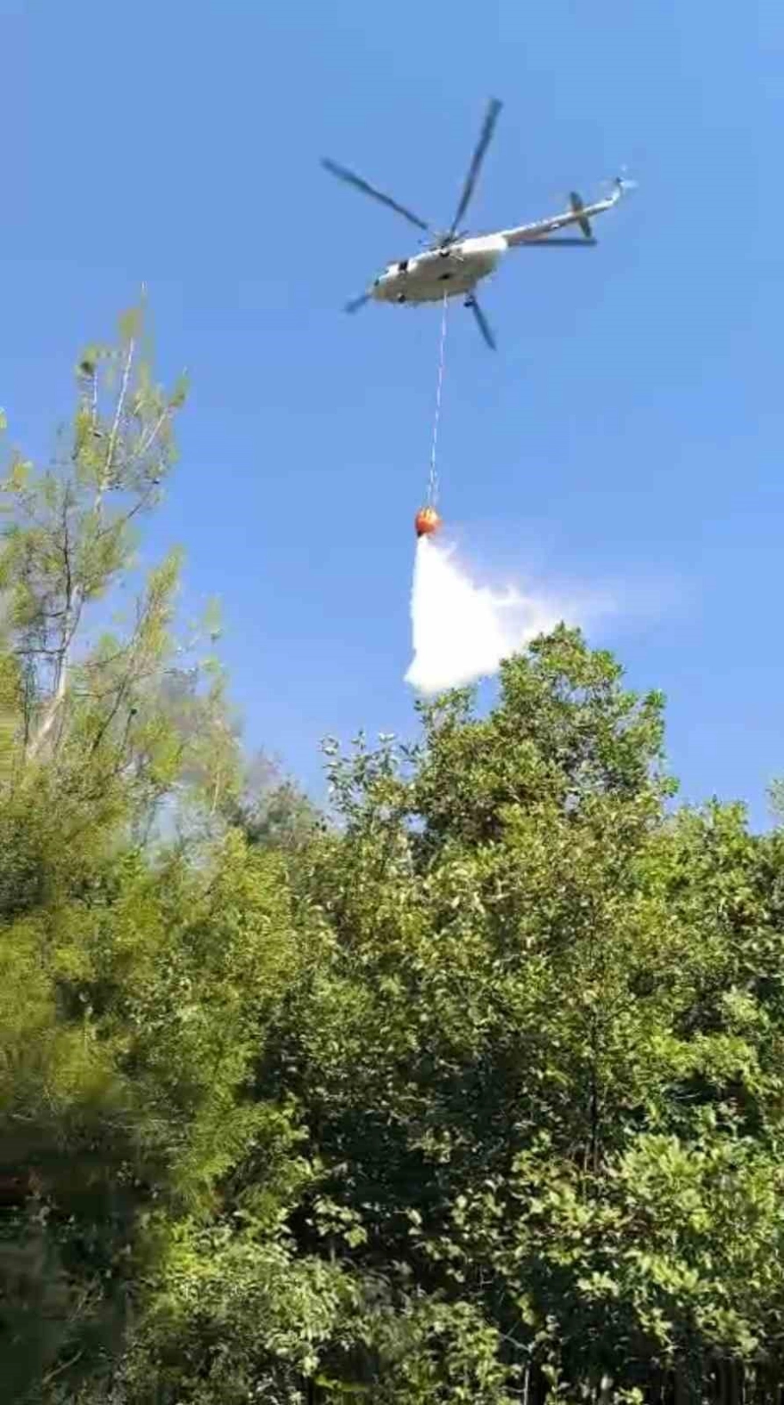 Hatay'da Orman Yangını Çıktı