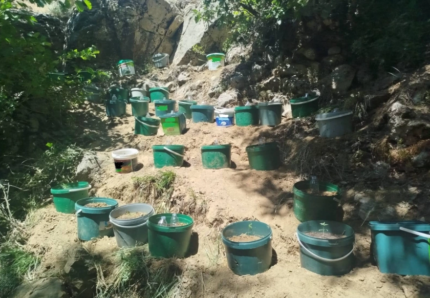 Bingöl'de Hapis Cezası Bulunan Şahıs Yakalandı