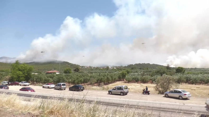 Manisa Akhisar'da orman yangını: Tahliyeler sürüyor, müdahale devam ediyor