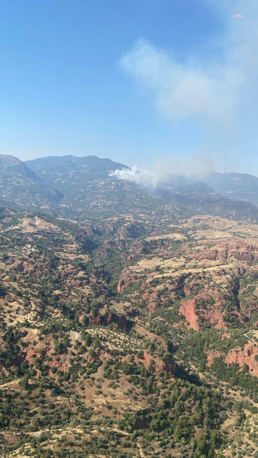Aydın’da orman yangını çıktı: Efeler ve Bozdoğan’daki alevlere havadan ve karadan müdahale sürüyor