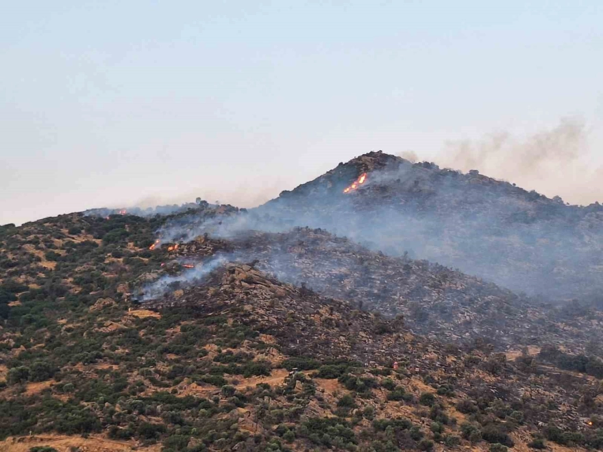 Bozdoğan'da makilik yangınına yoğun müdahale