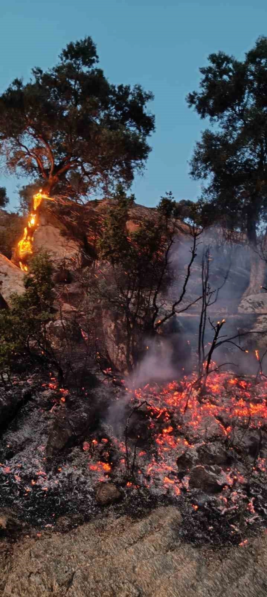 Bozdoğan'da makilik yangınına yoğun müdahale