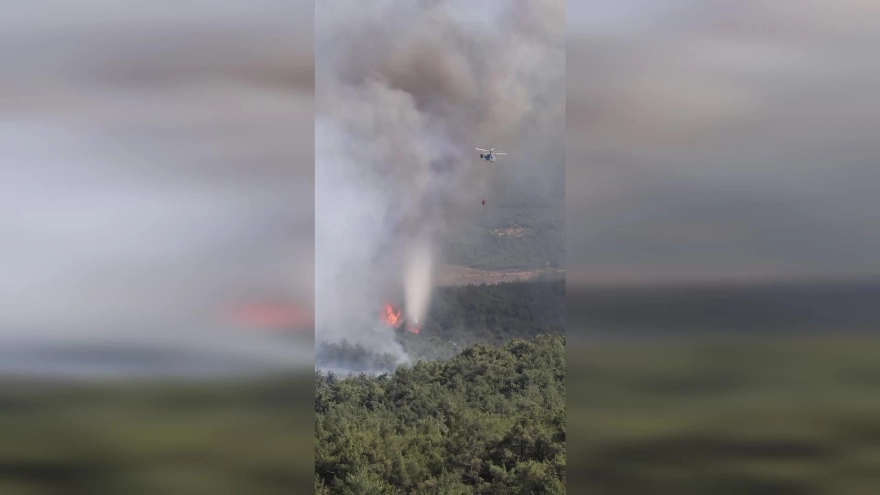 İletişim Başkanlığı: Sekiz orman yangınına müdahale kesintisiz sürüyor