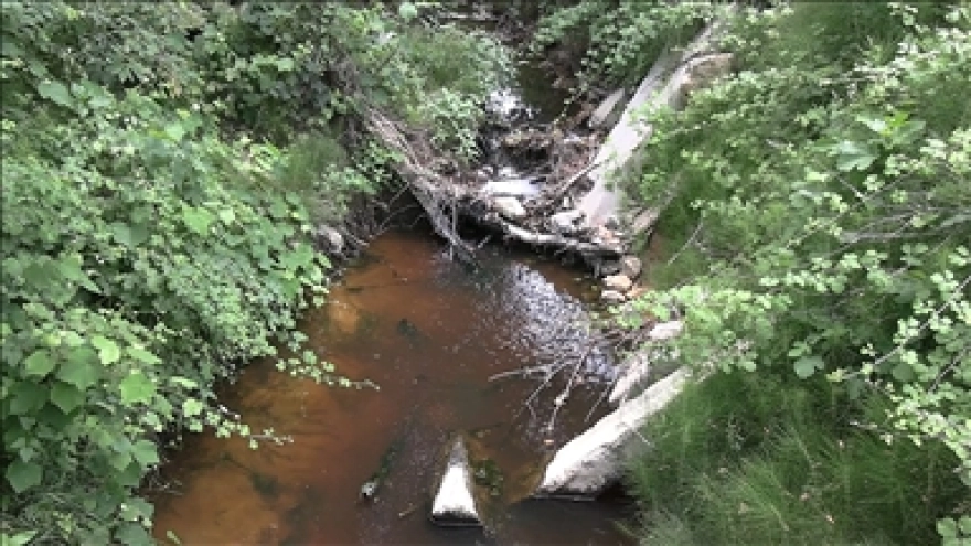 Şile'de Atık Su Kirliliği ve Kötü Koku Bölge Sakinlerini Rahatsız Ediyor