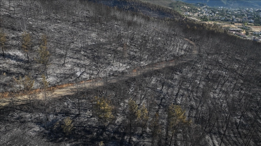 Hatay Orman Yangınında Hasar Gören Alanlar Drone İle Görüntülendi