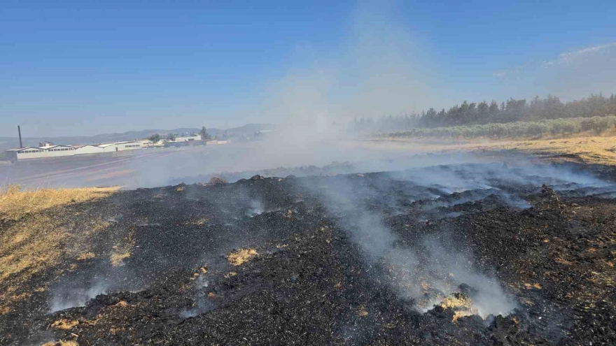 İslahiye'de 150 Dönüm Arazi Yangında Yok Oldu
