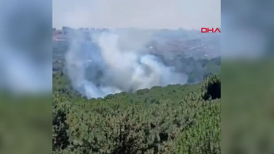 Sultangazi Kent Ormanı'nda Yangın Çıktı