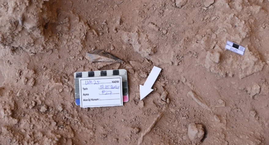 Uluköy Mağarası'nda Kadim Aletler Keşfedildi