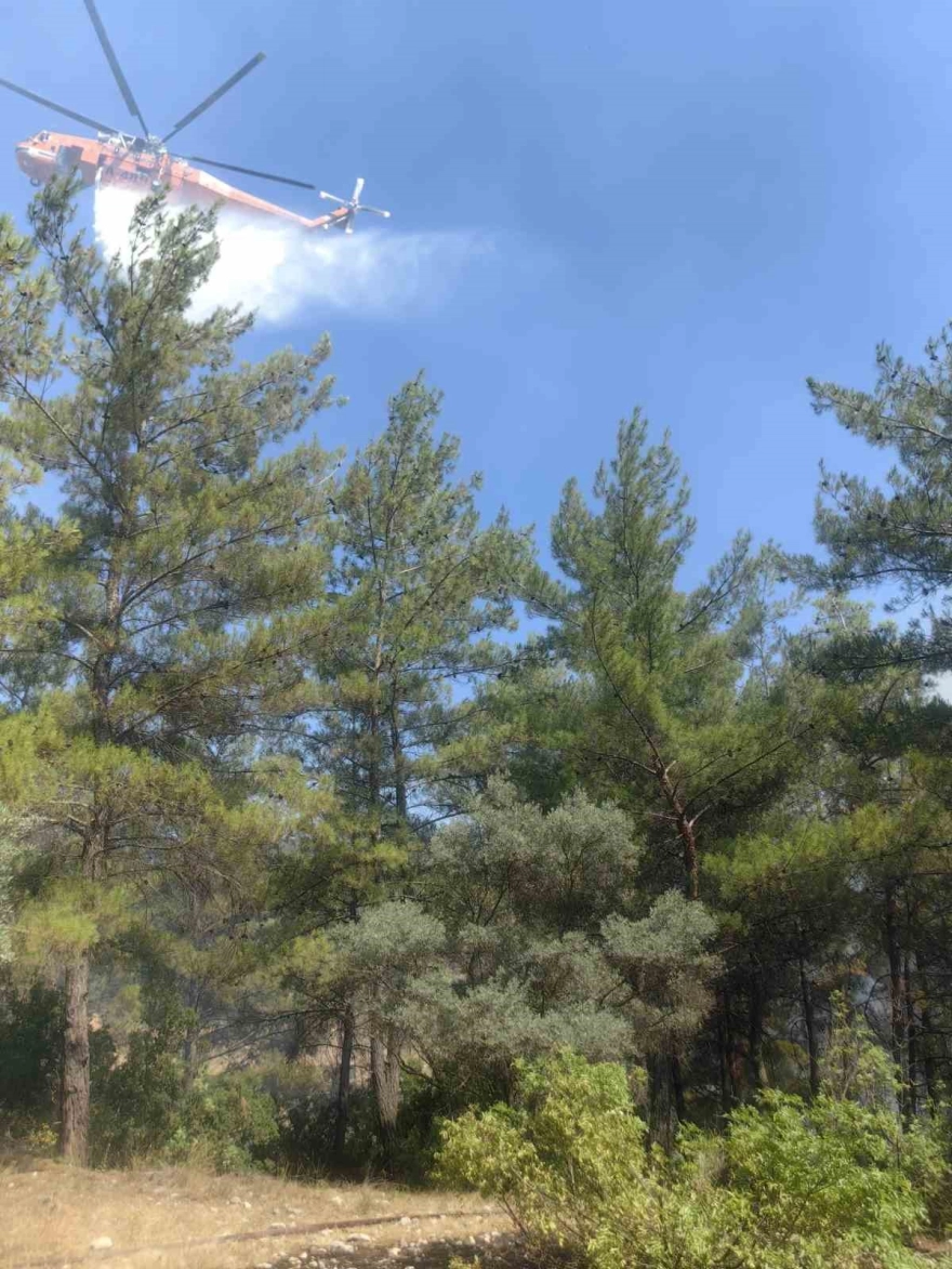 Muğla'daki orman yangını kısmen kontrol altına alındı