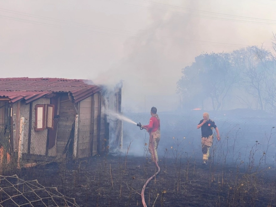 Silivri'deki orman yangını mangaldan çıktı, bir kişi gözaltına alındı.