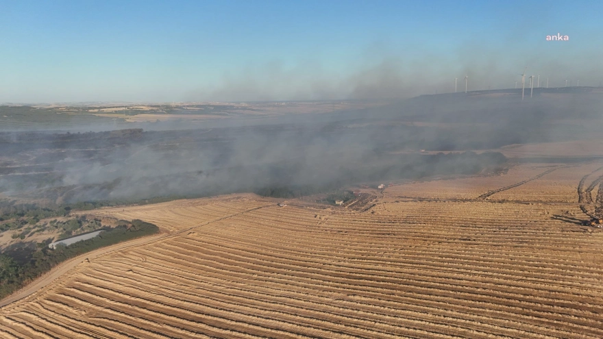 Silivri'deki orman yangını kontrol altına alındı