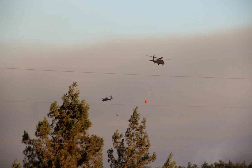 Buca'daki orman yangınıyla ilgili iki şüpheli yakalandı