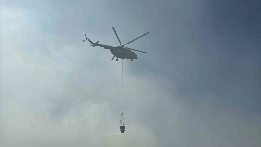 Uşak'ta meşelik alana yayılan yangın kontrol altına alındı