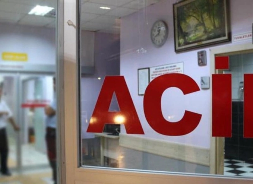 Milas'ta kamyonet çarpması sonucu yaya yaşamını yitirdi