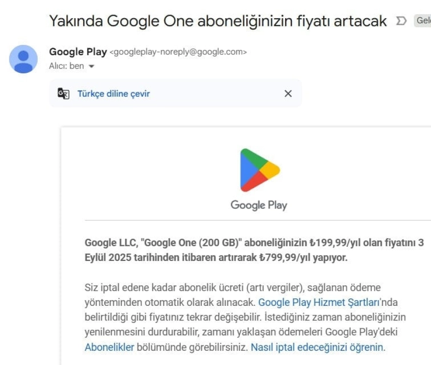 Google ürünlerine yüzde 300 zam geldi!