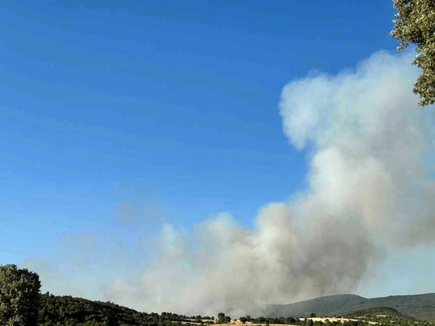 Uşak'ta iki farklı noktada çıkan yangınlara müdahale sürüyor
