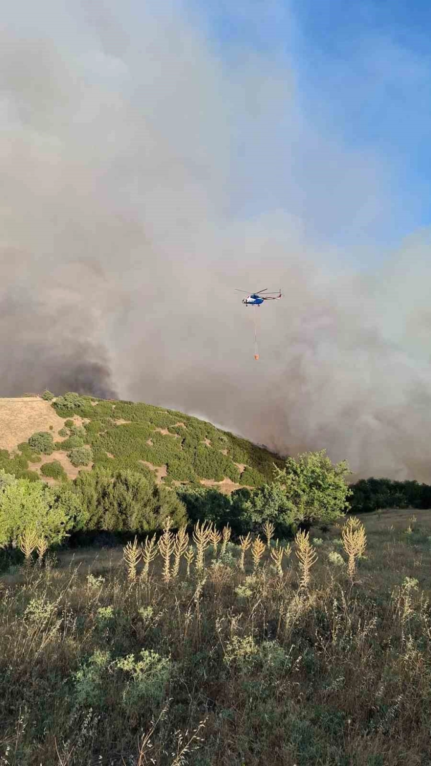 Manisa'daki yangın Uşak'a doğru yayılıyor