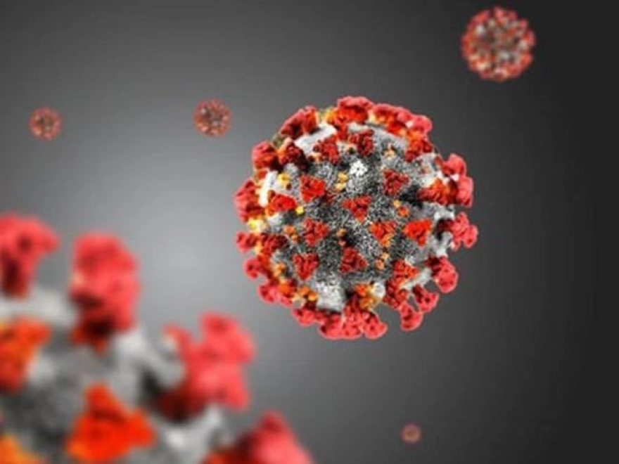 Yaygın Virüs 'Öpücük Hastalığı' Yapar, Kanser Riskini Beş Kat Artırır