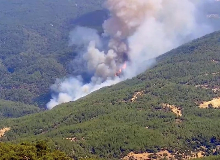 Aydın'da Endişe Veren Orman Yangını Kontrol Altında