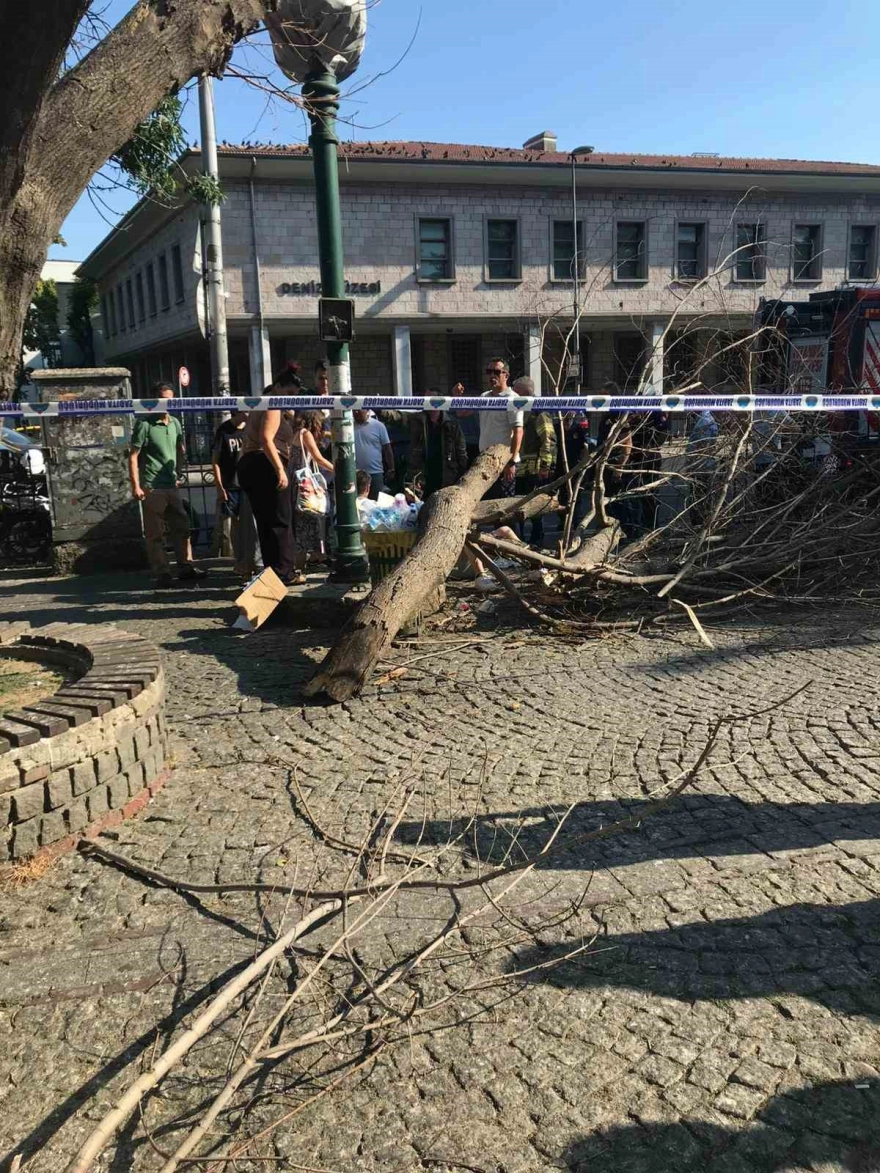 Beşiktaş'ta Kaldırımda Yürüyen 3 Kişinin Üzerine Ağaç Düştü