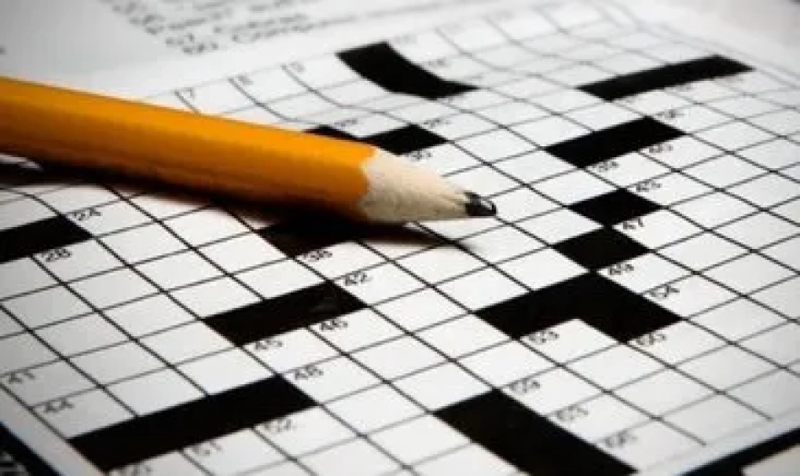 Bir Tozluk Türü Bulmacasına Yanıt