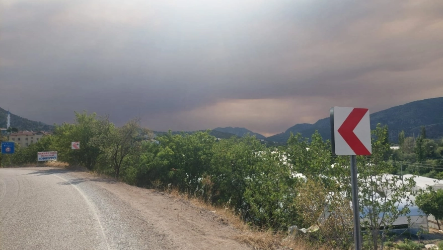 Sakarya'daki yangın Bilecik'e sıçradı, dumanlar Eskişehir'e ulaştı