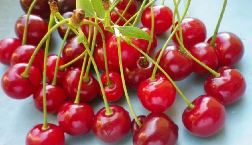 Canan Karatay'dan Yaz Meyveleri Hakkında Önemli Uyarılar