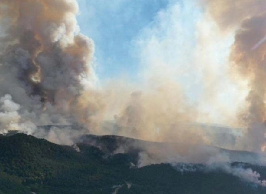 Orman Bölge Müdürü alevlerin ortasında kaldı, yardım talep edildi