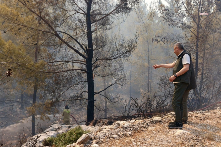 Mersin Valiliği: Silifke'deki Orman Yangını Kontrol Altına Alındı, İki Orman İşçisinin Tedavisi Sürüyor