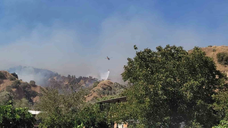 Aydın Valisi Canbolat: 