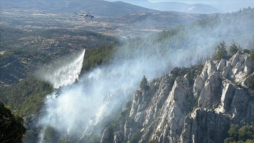 Muğla'da çıkan orman yangınlarının yüzde 88'i insan kaynaklı