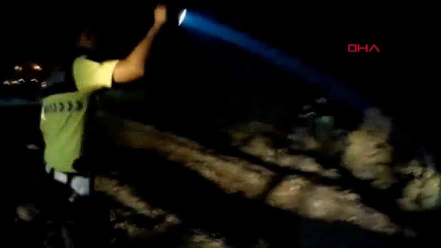 Bursa'da Ormanı Yakmaya Çalışan Şüpheli Kaçtı!