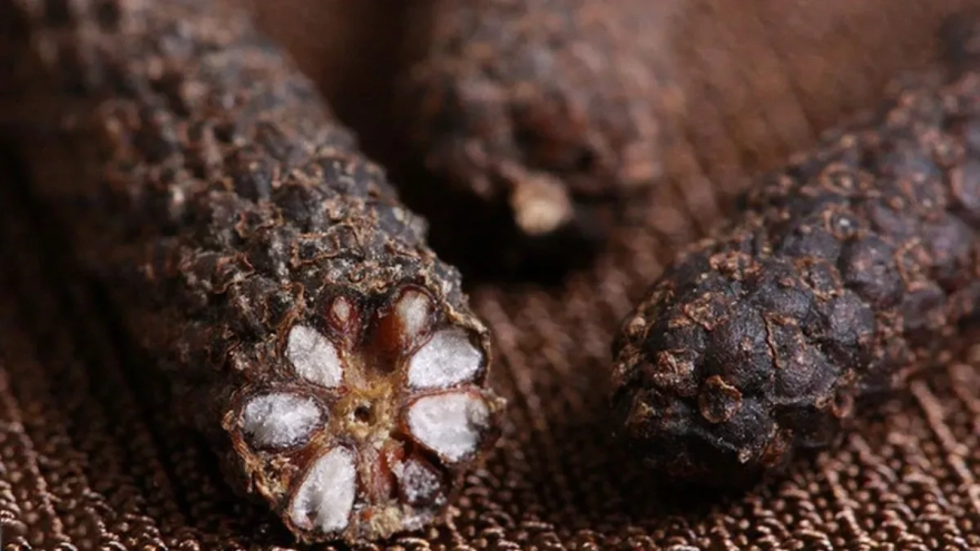 Cinsel Gücü Artıran ve Enfeksiyonları Yok Eden Doğal Şifa Kaynağı