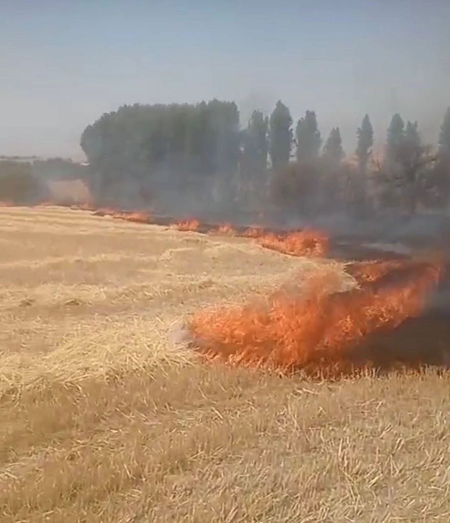 Ankara'da anız yangını meydana geldi