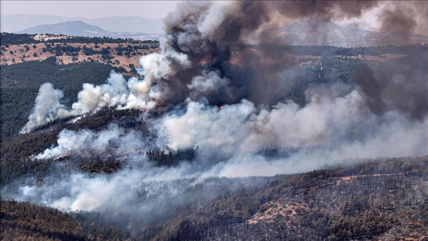 Orman Yangınlarında 132 Bağımsız Birimde Ağır Hasar Tespit Edildi