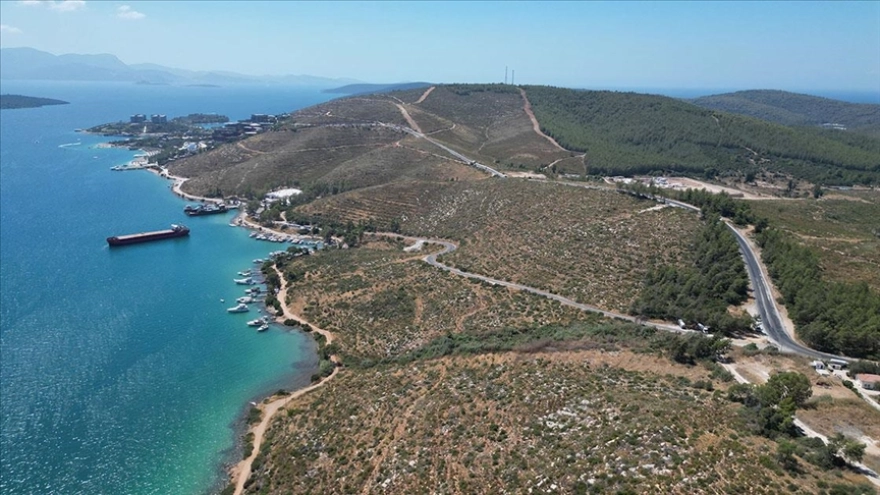 Bodrum Güvercinlik'te Dört Yıl Önceki Yangın Alanları Fidanlarla Yeniden Yeşeriyor
